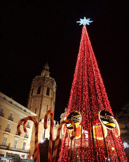 Marseille & North Africa Christmas Special