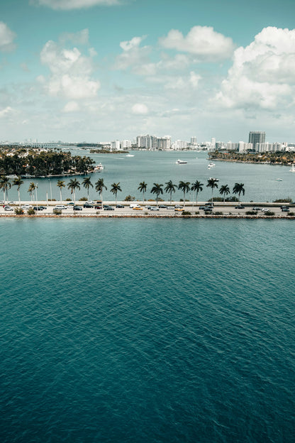 Miami Like a Local Shore Excursions