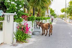 Grand Turk Island