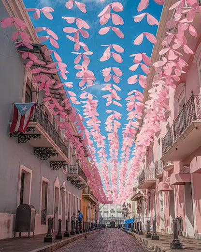 San Juan Christmas Special. Puerto Rico Shore Excursions